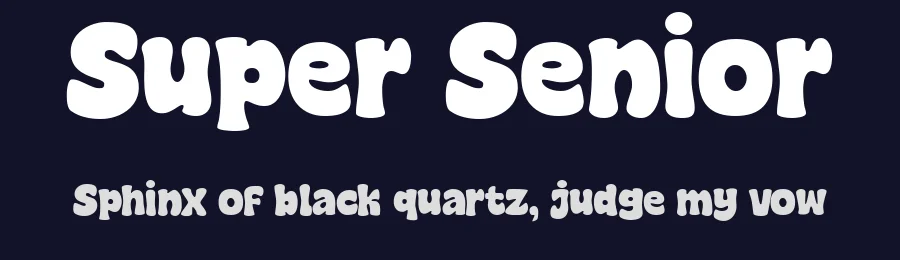 Super Senior — Display Font — thumbnail 2