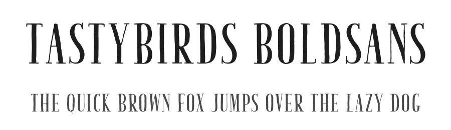 TastyBirds BoldSans by Youssef Habchi — Display Font