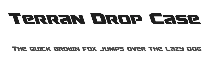 Terran Drop Case by Daniel Zadorozny — Display Font