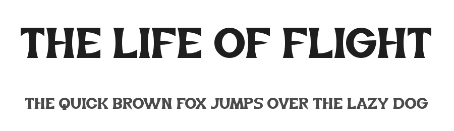 The Life of Flight by AM — Display Font