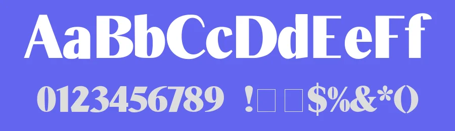 Times Sans Display — Display Font — thumbnail 3