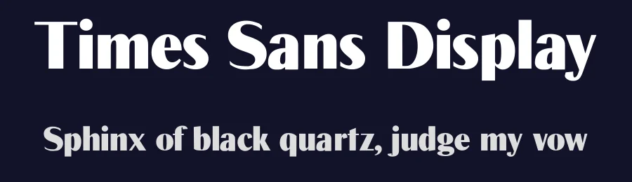 Times Sans Display — Display Font — thumbnail 2