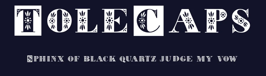 ToleCaps — Display Font — thumbnail 2