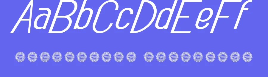 True Private Demo Italic by Shalsha & Suci Anita — Display Font — thumbnail 3