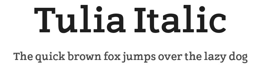 Tulia Italic β Display Font