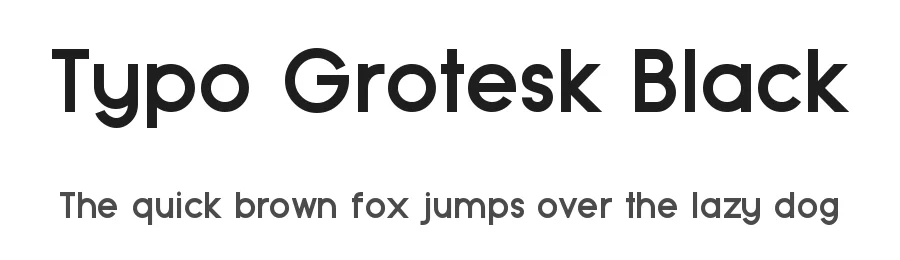 Typo Grotesk Black — Display Font