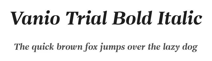 Vanio Trial Bold Italic by Eko Bimantara — Display Font