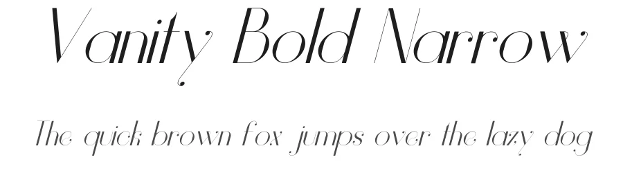Vanity Bold Narrow by Hendrick Rolandez — Display Font