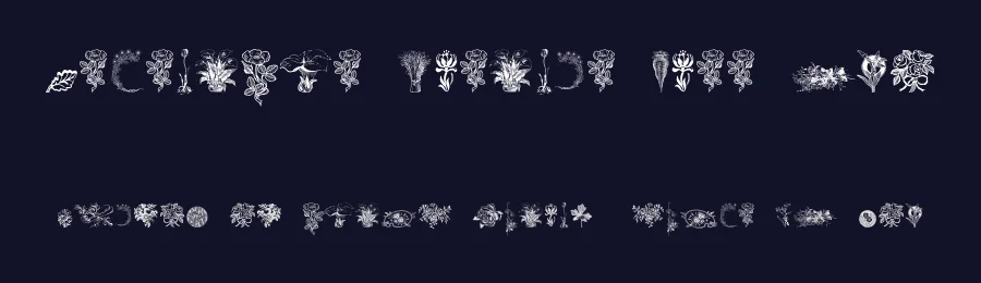 Vegetable Breathe Free Two — Display Font — thumbnail 2
