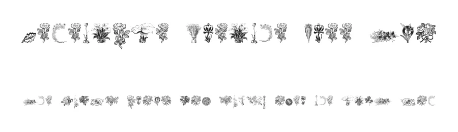 Vegetable Breathe Free Two — Display Font