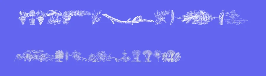 Vegetable Breathe Free — Display Font — thumbnail 3