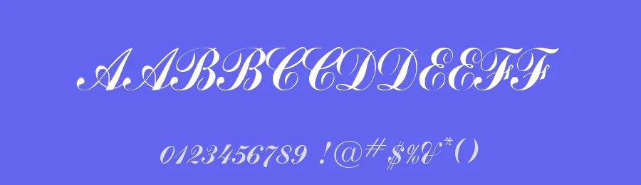 VI Bong Nuoc Hoa — Display Font — thumbnail 3