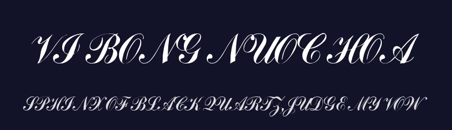 VI Bong Nuoc Hoa — Display Font — thumbnail 2