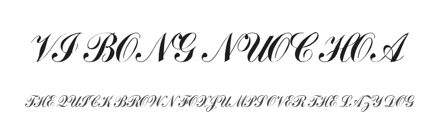 VI Bong Nuoc Hoa — Display Font