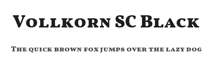 Vollkorn SC Black by Friedrich Althausen — Display Font
