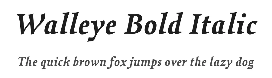 Walleye Bold Italic by Nathanael Bonnell β Display Font