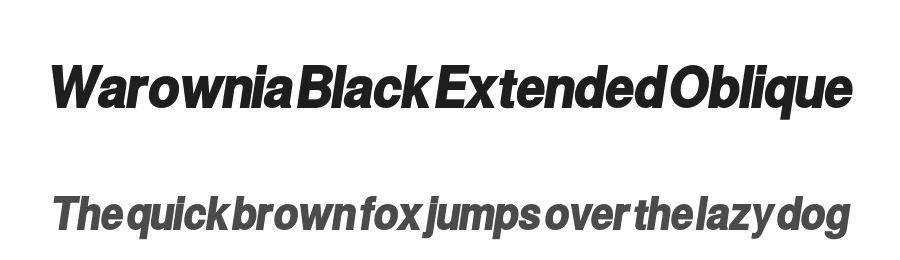 Warownia Black Extended Oblique — Display Font