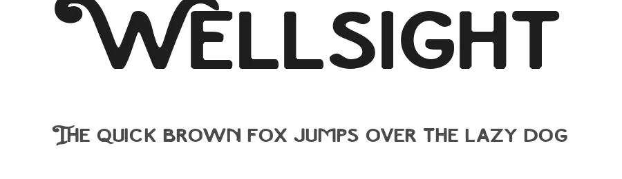 Wellsight by Lettersiro 2018 — Display Font