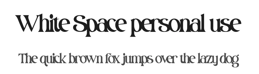 White Space personal use by Donis Miftahudin — Display Font
