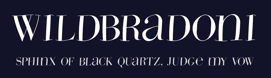 WildBradoni — Display Font — thumbnail 2