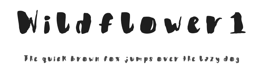 Wildflower1 — Display Font