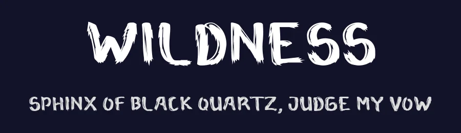 Wildness — Display Font — thumbnail 2