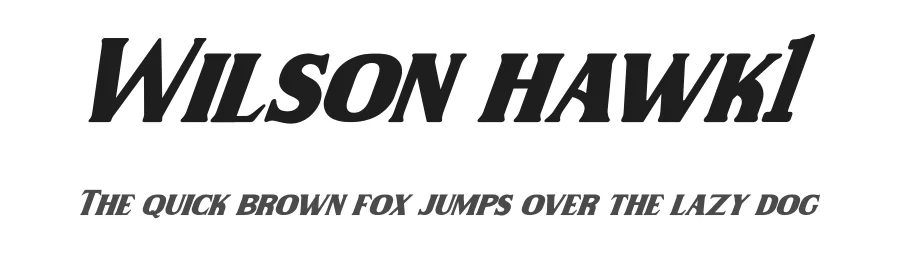 Wilson hawk1 by Kong font — Display Font