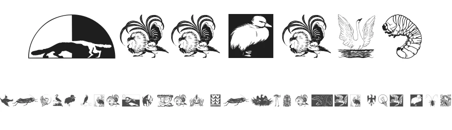 Zoology — Display Font