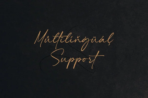 Fife Gallery Font by lemonthe — Script Handwritten Font — thumbnail 9