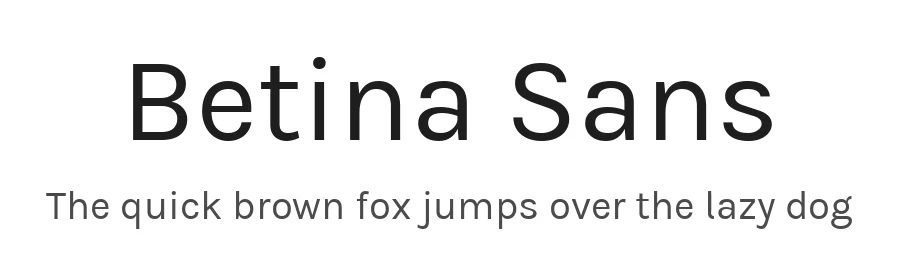 Betina Sans by Jonathan Pinhorn (font) & Cristiano Sobral (main changes) — Sans Serif Font