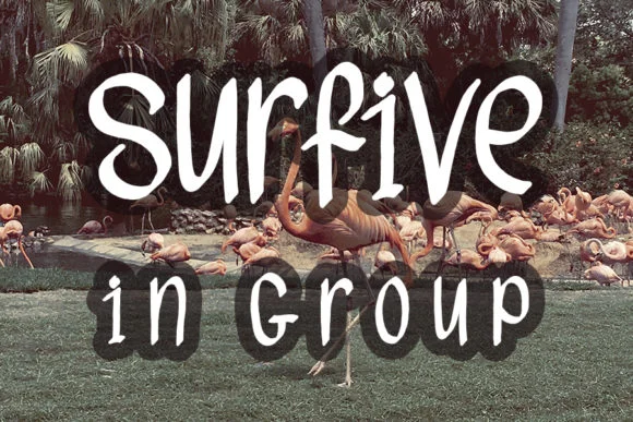 Flamingo Font by FL Space by FL Space — Script Handwritten Font — thumbnail 3