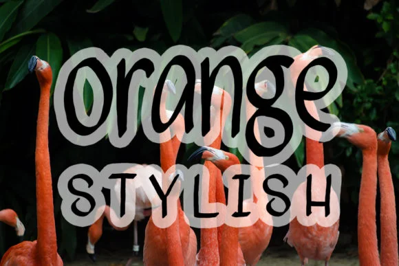 Flamingo Font by FL Space by FL Space — Script Handwritten Font — thumbnail 4