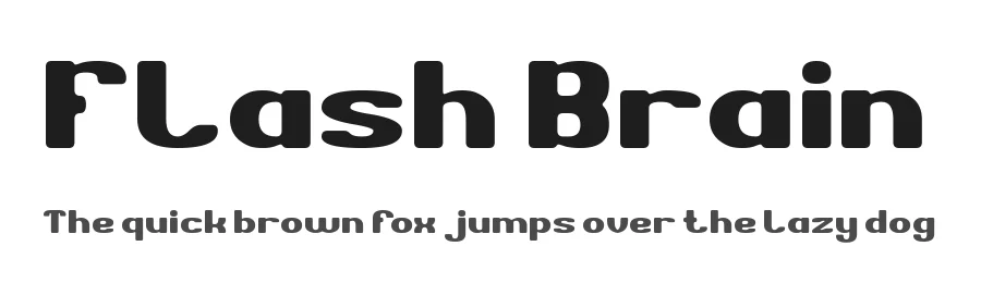 Flash Brain