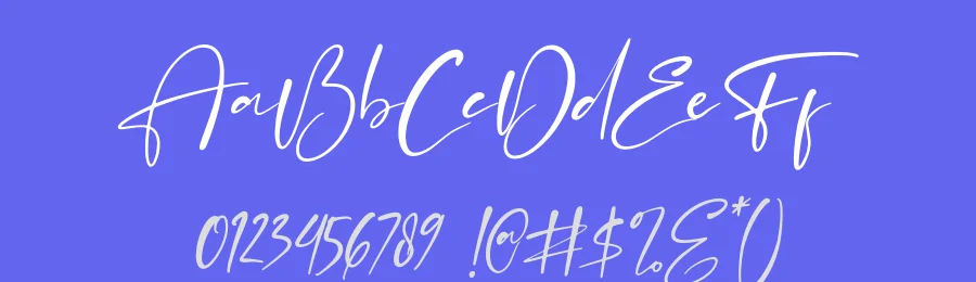 Flash Light by Perspectype Studio - Letterena.com — Script Handwritten Font — thumbnail 3