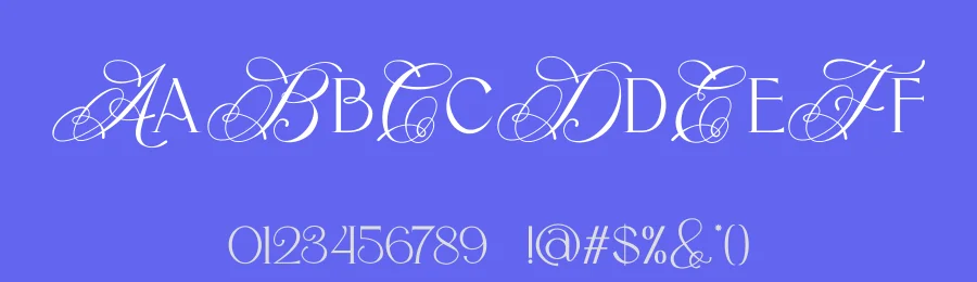 Flece Display by PutraCetol Studio — Decorative Font — thumbnail 3