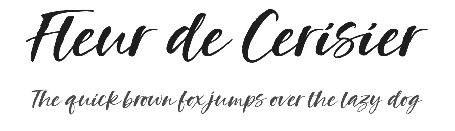 Fleur de Cerisier