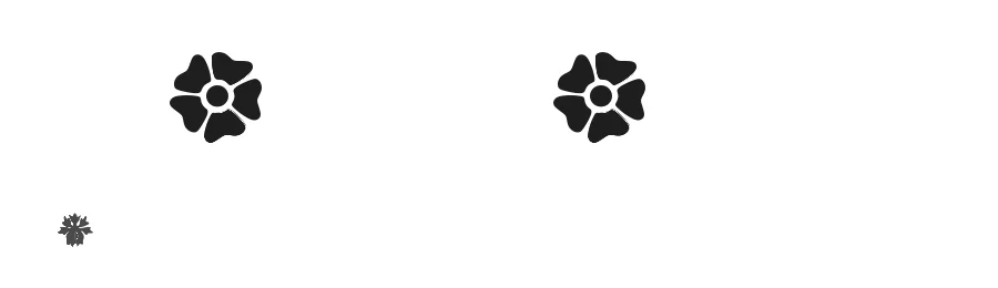 Fleurs Font by Zia  Jamel — Dingbats Font