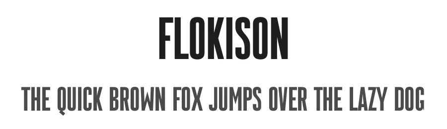 Flokison by Studio Hello Good — Sans Serif Font