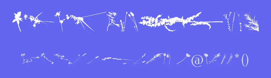 Floral Flush by Bellafonts — Dingbats Font — thumbnail 3