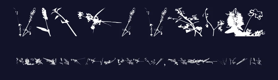 Floral Flush by Bellafonts — Dingbats Font — thumbnail 2