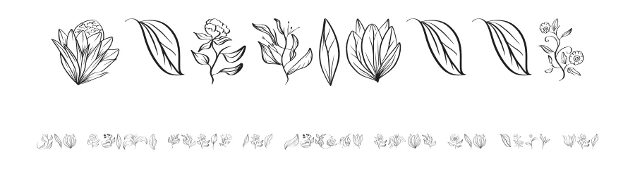 Floriella by Edy Wiyono — Dingbats Font