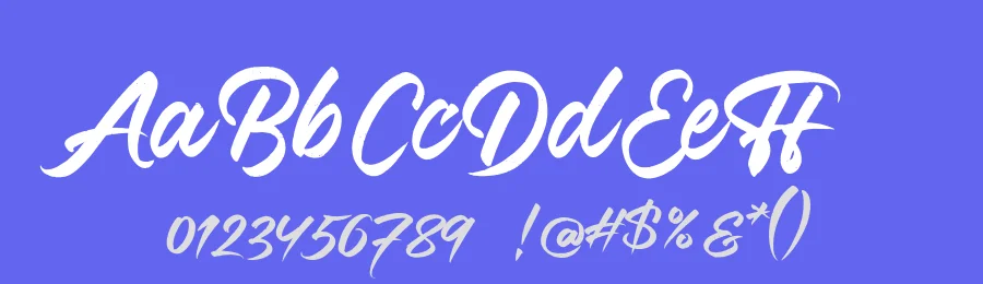 Font Brush by Debut Studio — Script Handwritten Font — thumbnail 3