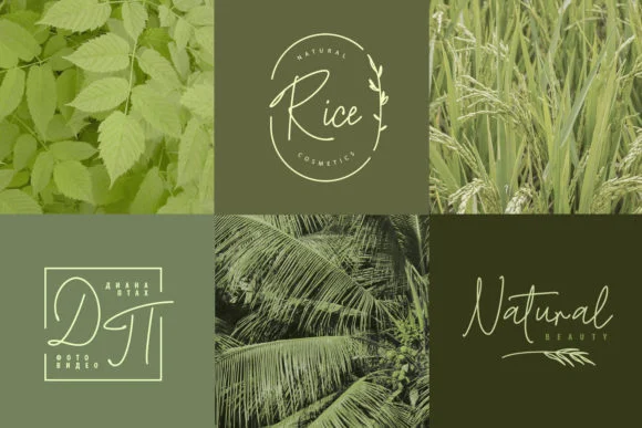 Forest Glade Font by Iradvilyuk — Script Handwritten Font — thumbnail 8