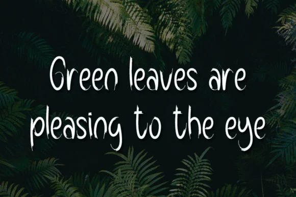 Forest Leaves Font by morningtimestudio — Script Handwritten Font — thumbnail 2
