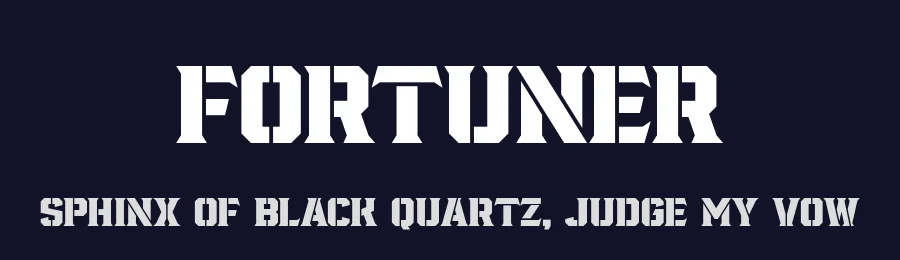 Fortuner by Variatype — Decorative Font — thumbnail 2