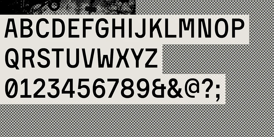 ACTIVIST by Brownfox — Display Font — thumbnail 3