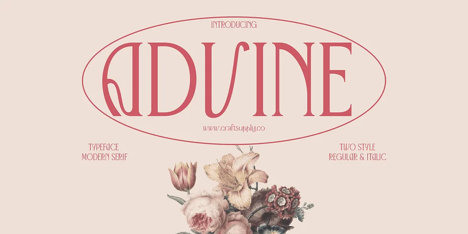 Advine by Craft Supply Co. — Decorative Font