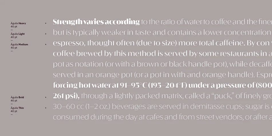 Águila by Latinotype — Display Font — thumbnail 9