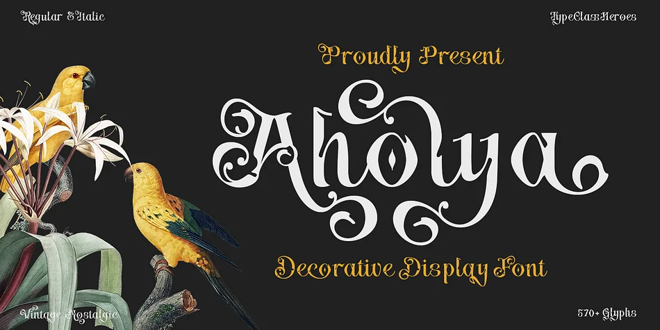 Aholya by TypeClassHeroes — Decorative Font