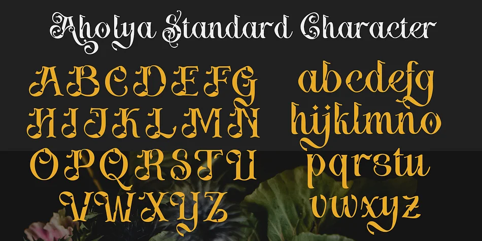 Aholya by TypeClassHeroes — Decorative Font — thumbnail 3